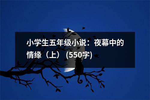 小學(xué)生五年級小說：夜幕中的情緣（上） (550字)