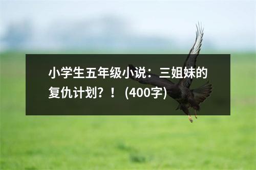 小學(xué)生五年級(jí)小說：三姐妹的復(fù)仇計(jì)劃？！ (400字)