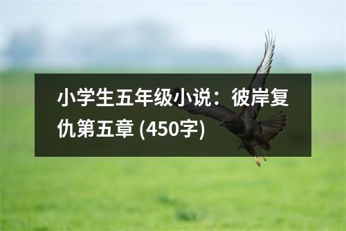 小學(xué)生五年級(jí)小說：彼岸復(fù)仇第五章 (450字)