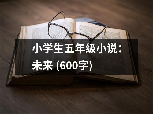 小學(xué)生五年級(jí)小說(shuō)：未來(lái) (600字)