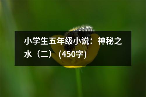 小學(xué)生五年級(jí)小說(shuō)：神秘之水（二） (450字)