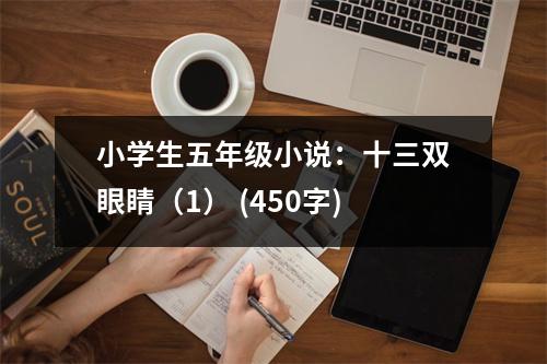小學生五年級小說：十三雙眼睛（1） (450字)