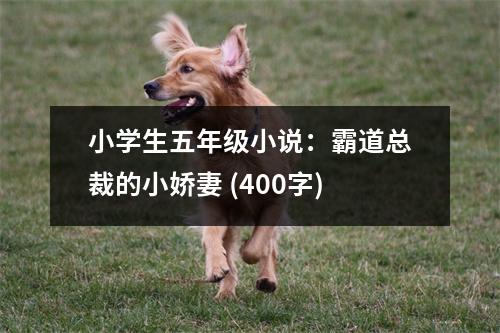 小學(xué)生五年級(jí)小說：霸道總裁的小嬌妻 (400字)