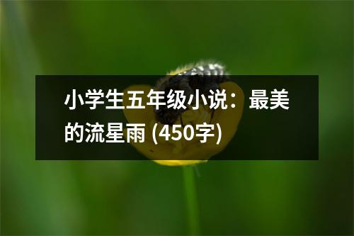 小學(xué)生五年級(jí)小說：最美的流星雨 (450字)