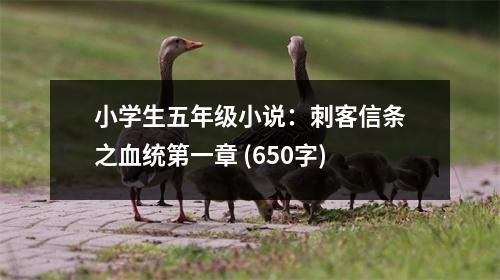 小學(xué)生五年級(jí)小說(shuō)：刺客信條之血統(tǒng)第一章 (650字)