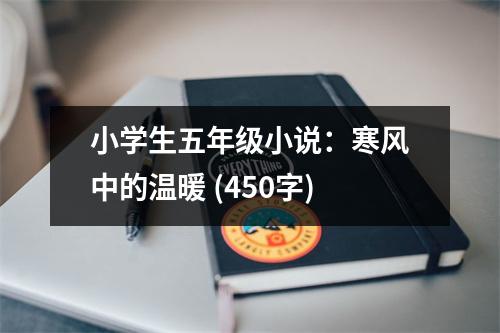 小學(xué)生五年級(jí)小說(shuō)：寒風(fēng)中的溫暖 (450字)