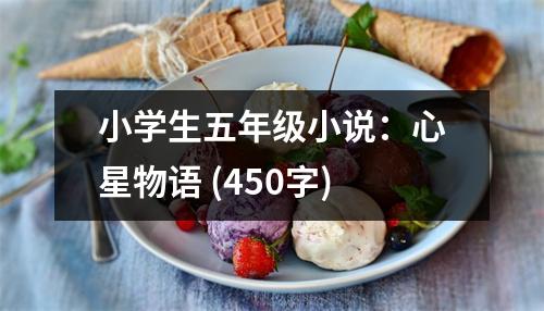 小學(xué)生五年級(jí)小說(shuō)：心星物語(yǔ) (450字)