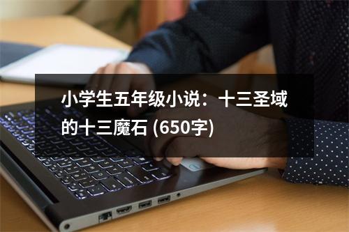 小學(xué)生五年級(jí)小說(shuō)：十三圣域的十三魔石 (650字)