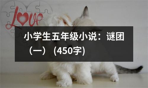 小學(xué)生五年級(jí)小說(shuō)：謎團(tuán)（一） (450字)