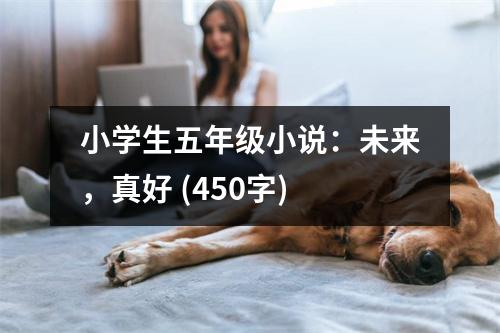 小學(xué)生五年級(jí)小說(shuō)：未來(lái)，真好 (450字)