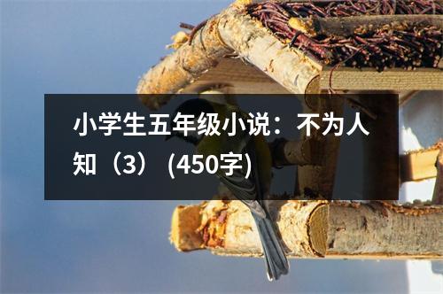小學(xué)生五年級小說：不為人知（3） (450字)