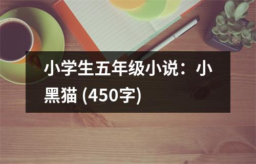 小學(xué)生五年級(jí)小說(shuō)：小黑貓 (450字)
