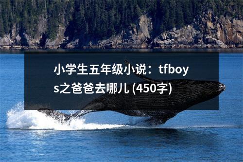 小學(xué)生五年級(jí)小說(shuō)：tfboys之爸爸去哪兒 (450字)