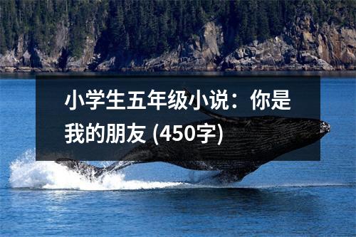 小學(xué)生五年級(jí)小說(shuō)：你是我的朋友 (450字)