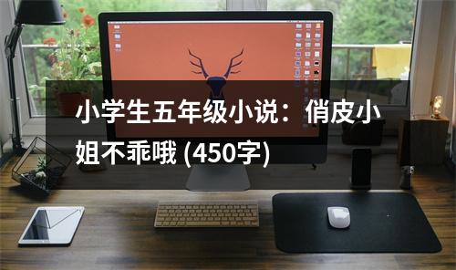 小學(xué)生五年級(jí)小說(shuō)：俏皮小姐不乖哦 (450字)
