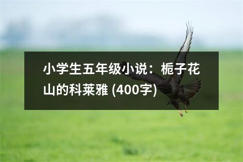 小學(xué)生五年級(jí)小說(shuō)：梔子花山的科萊雅 (400字)