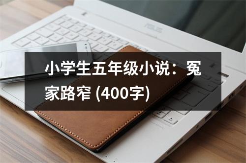 小學(xué)生五年級(jí)小說(shuō)：冤家路窄 (400字)