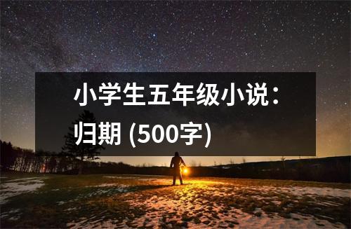 小學(xué)生五年級(jí)小說(shuō)：歸期 (500字)