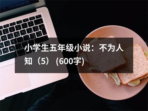 小學(xué)生五年級(jí)小說(shuō)：不為人知（5） (600字)
