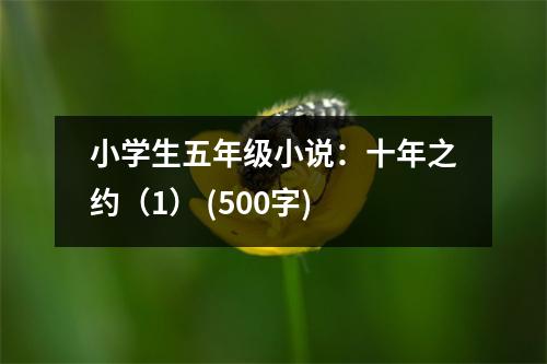 小學(xué)生五年級(jí)小說(shuō)：十年之約（1） (500字)