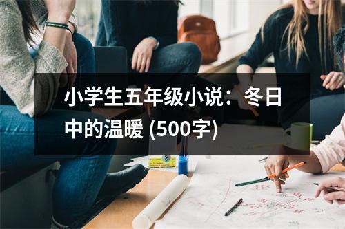 小學(xué)生五年級(jí)小說：冬日中的溫暖 (500字)