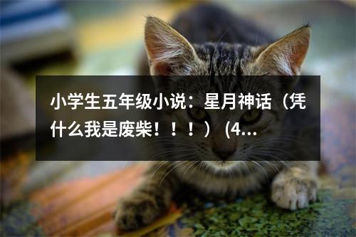 小學(xué)生五年級小說：星月神話（憑什么我是廢柴！?。。?(400字)