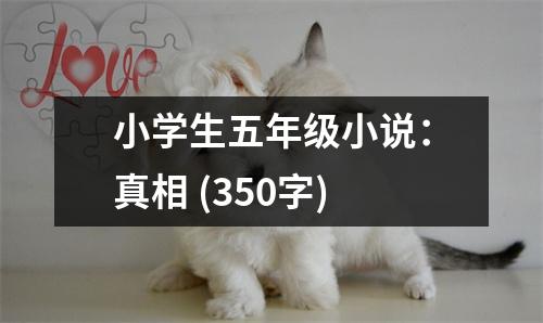 小學(xué)生五年級小說：真相 (350字)
