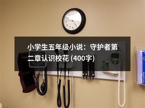 小學(xué)生五年級小說：守護者第二章認(rèn)識校花 (400字)