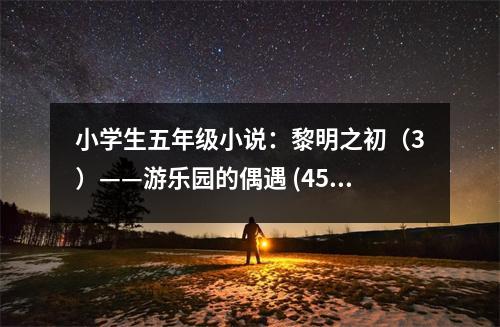 小學(xué)生五年級小說：黎明之初（3）——游樂園的偶遇 (450字)