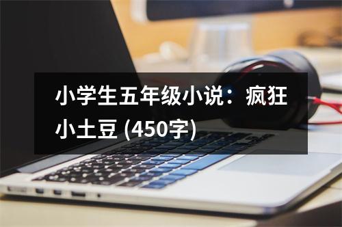小學(xué)生五年級(jí)小說(shuō)：瘋狂小土豆 (450字)