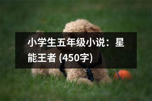 小學(xué)生五年級小說：星能王者 (450字)