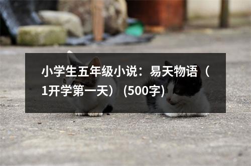 小學(xué)生五年級(jí)小說(shuō)：易天物語(yǔ)（1開(kāi)學(xué)第一天） (500字)