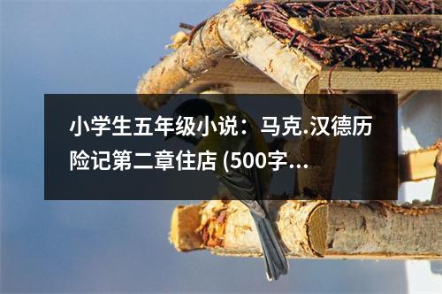 小學(xué)生五年級(jí)小說(shuō)：馬克.漢德歷險(xiǎn)記第二章住店 (500字)