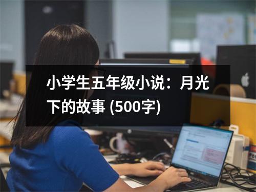小學(xué)生五年級小說：月光下的故事 (500字)
