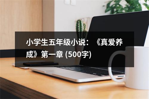 小學(xué)生五年級(jí)小說(shuō)：《真愛(ài)養(yǎng)成》第一章 (500字)