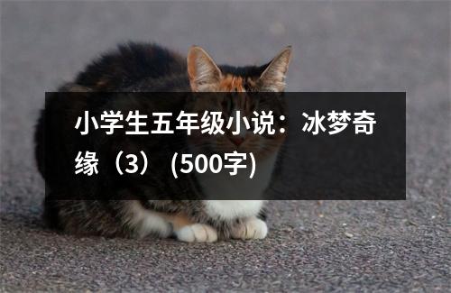 小學(xué)生五年級小說：冰夢奇緣（3） (500字)