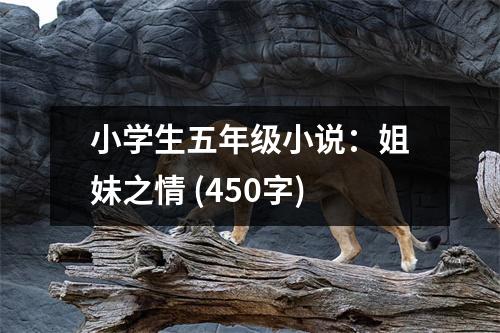 小學(xué)生五年級小說：姐妹之情 (450字)