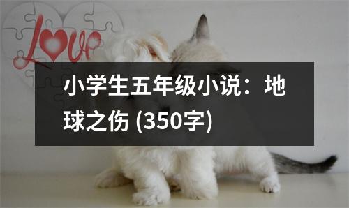 小學(xué)生五年級小說：地球之傷 (350字)