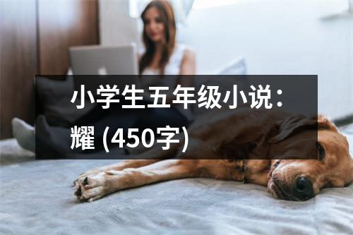 小學(xué)生五年級小說：耀 (450字)