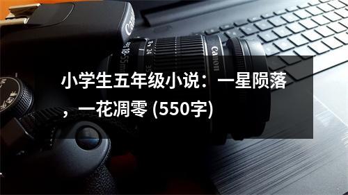 小學(xué)生五年級小說：一星隕落，一花凋零 (550字)