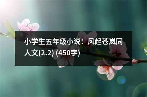 小學(xué)生五年級小說：風(fēng)起蒼嵐同人文(2.2) (450字)