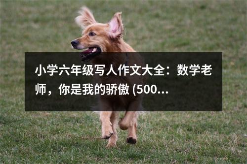 小學(xué)六年級寫人作文大全：數(shù)學(xué)老師，你是我的驕傲 (500字)