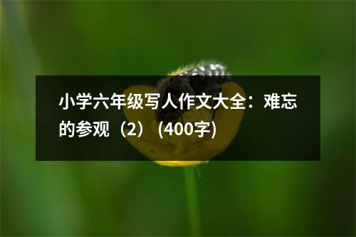 小學六年級寫人作文大全：難忘的參觀（2） (400字)
