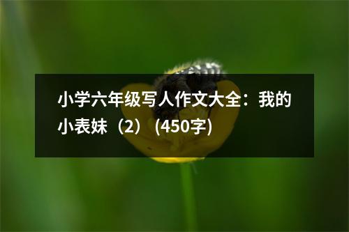 小學(xué)六年級(jí)寫人作文大全：我的小表妹（2） (450字)