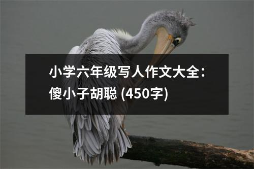 小學(xué)六年級(jí)寫(xiě)人作文大全：傻小子胡聰 (450字)