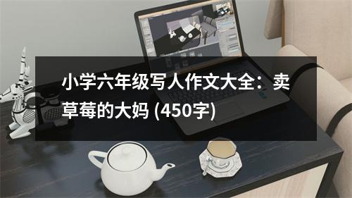 小學(xué)六年級(jí)寫(xiě)人作文大全：賣(mài)草莓的大媽 (450字)