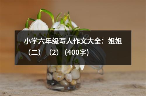 小學(xué)六年級(jí)寫(xiě)人作文大全：姐姐（二）（2） (400字)
