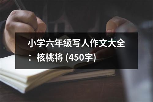 小學六年級寫人作文大全：核桃將 (450字)