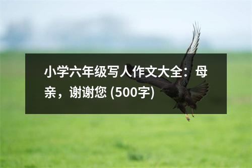 小學六年級寫人作文大全：母親，謝謝您 (500字)