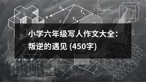 小學(xué)六年級寫人作文大全：叛逆的遇見 (450字)
